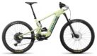 SANTA CRUZ HECKLER C R 29 Gloss Avocado Green XL - КОСЕВ & ТИНКОВ